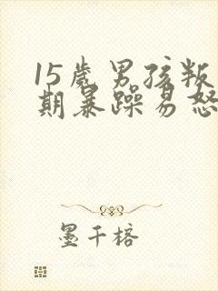 15岁男孩叛逆期暴躁易怒怎么办