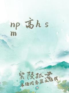 np 高h sm