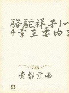 骆驼祥子1~24章主要内容30字