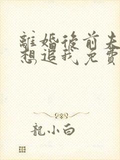 离婚后前夫总是想追我免费阅读