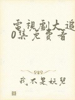 电视剧大追捕20集免费看