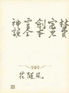 神霄剑宗林枫小说全本免费阅读