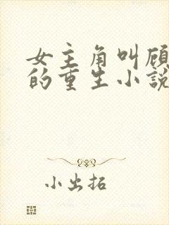 女主角叫顾浅浅的重生小说