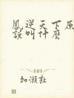 凤逆天下原著小说叫什么