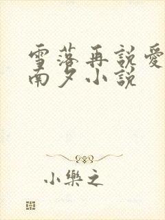 雪落再说爱你宋南夕小说