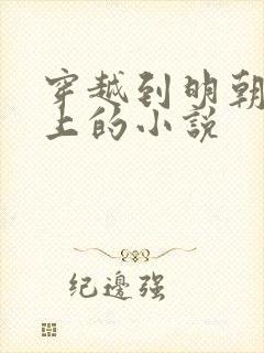 穿越到明朝当皇上的小说