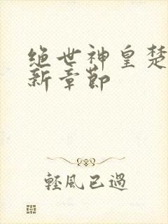 绝世神皇楚枫最新章节