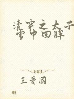 清穿之太子娇妃 雪中回眸