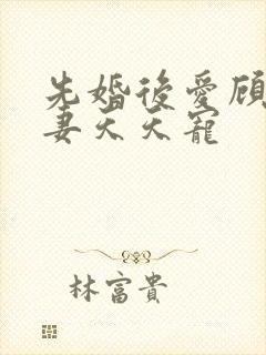 先婚后爱顾少娇妻天天宠