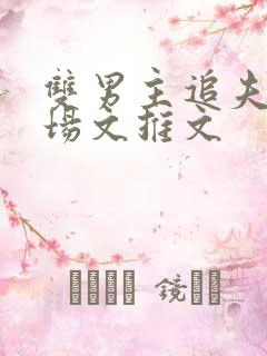 双男主追夫火葬场文推文