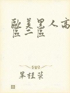 欧美黑人高清一区二区