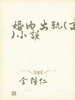 婚内出轨(高h)小说