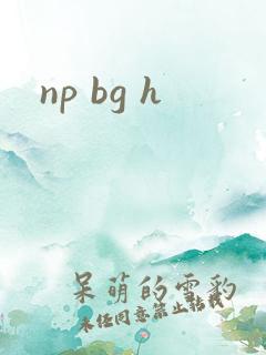 np bg h