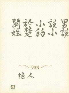 关于小说男主角姓楚的小说