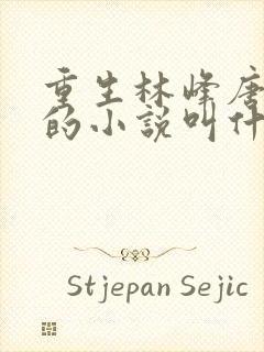 重生林峰唐雪颜的小说叫什么