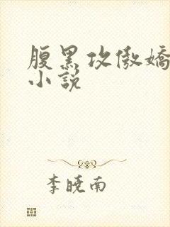 腹黑攻傲娇受的小说