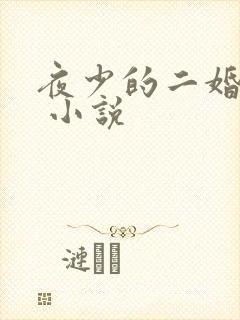 夜少的二婚新妻 小说
