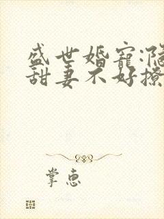 盛世婚宠:隐婚甜妻不好撩