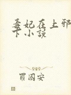 毒妃在上邪王在下小说