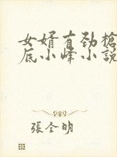 女婿有劲枪枪到底小峰小说