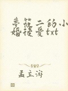 梦筱二的小说先婚后爱txt