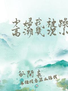 少妇我被躁爽到高潮几次小说