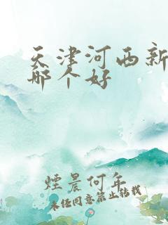 天津河西新楼盘哪个好