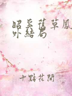 昭奚旧草凤奴番外结局