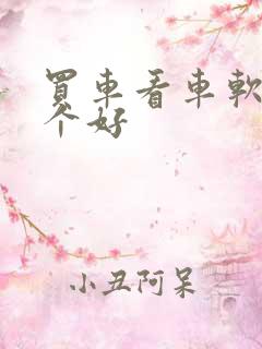 买车看车软件哪个好