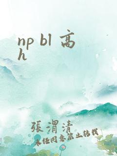 np bl 高h