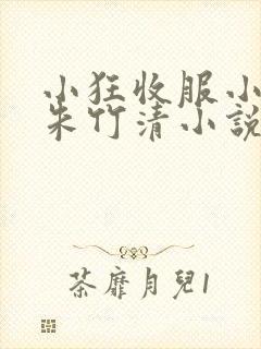 小狂收服小舞,朱竹清小说免费阅读