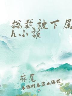 总裁被下属调教h小说