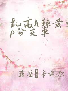 乱高h辣黄文np公交车