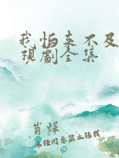 我怕来不及了电视剧全集