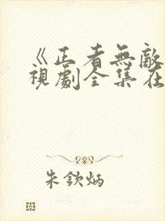 《正者无敌》电视剧全集在线观看