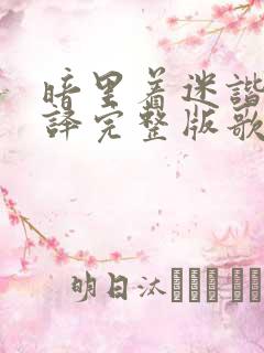 暗里着迷谐音翻译完整版歌词中文