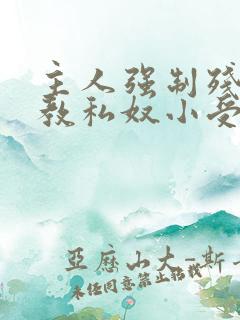 主人强制残忍调教私奴小受小说