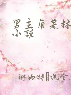 男主角是林墨的小说