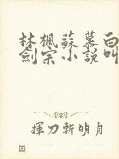 林枫苏慕白神霄剑宗小说叫什么