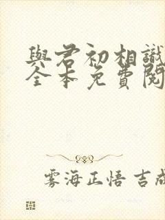 与君初相识小说全本免费阅读笔趣阁