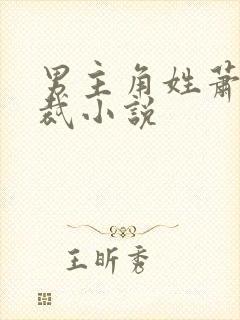 男主角姓萧的总裁小说