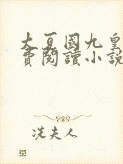 大夏国九皇子免费阅读小说全文