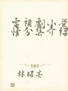 电视剧小爸爸剧情分集介绍