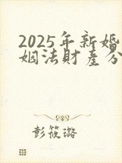 2025年新婚姻法财产分割规定