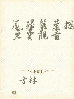 凤归巢叶总短剧免费观看