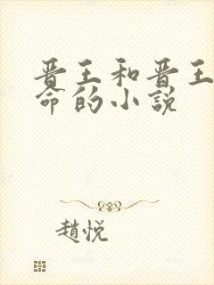 晋王和晋王妃算命的小说