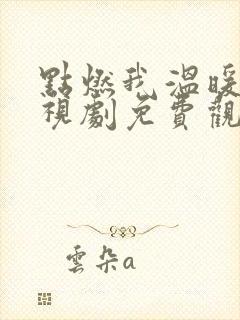 点燃我温暖你电视剧免费观看高清