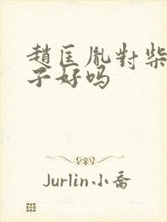 赵匡胤对柴荣儿子好吗