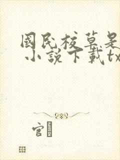 国民校草是女生 小说下载txt