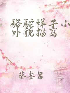 骆驼祥子小福子外貌描写